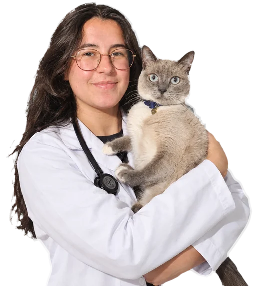 Médica-veterinária Fernanda Iachecen